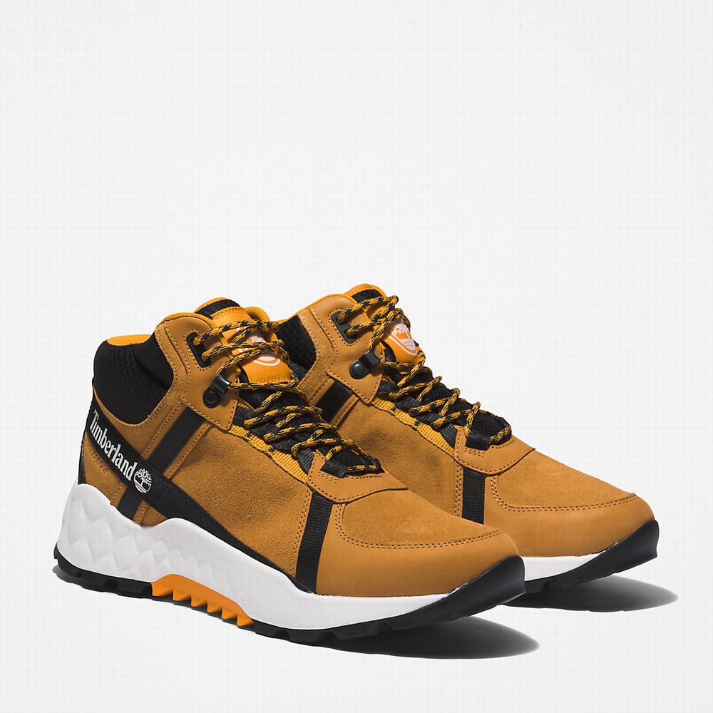 Turisticka Obuv Timberland Solar Wave LT Hiker Panske Svetlo Hnede | GY6394280