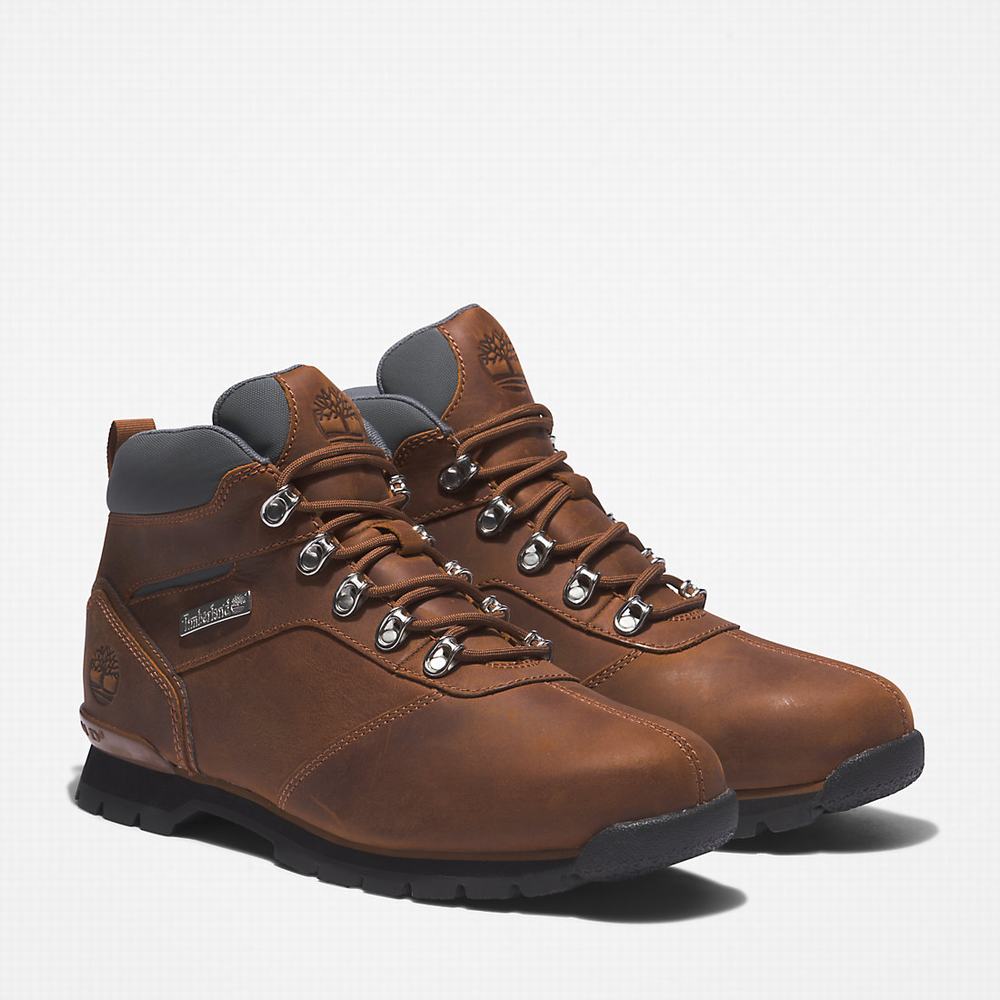 Turisticka Obuv Timberland Splitrock Panske Hnede | IL0895713