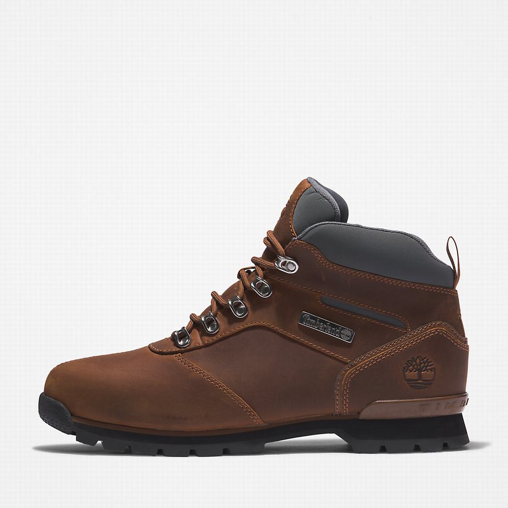 Turisticka Obuv Timberland Splitrock Panske Hnede | IL0895713