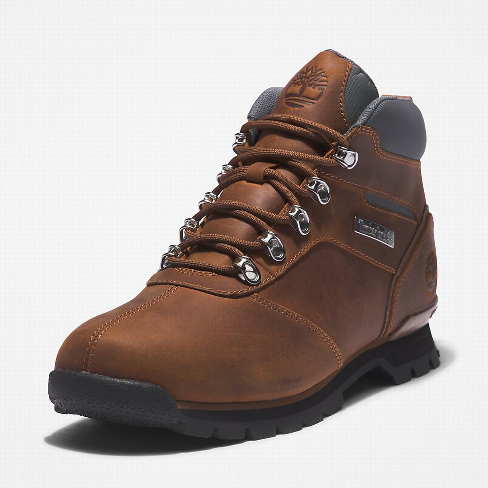 Turisticka Obuv Timberland Splitrock Panske Hnede | IL0895713