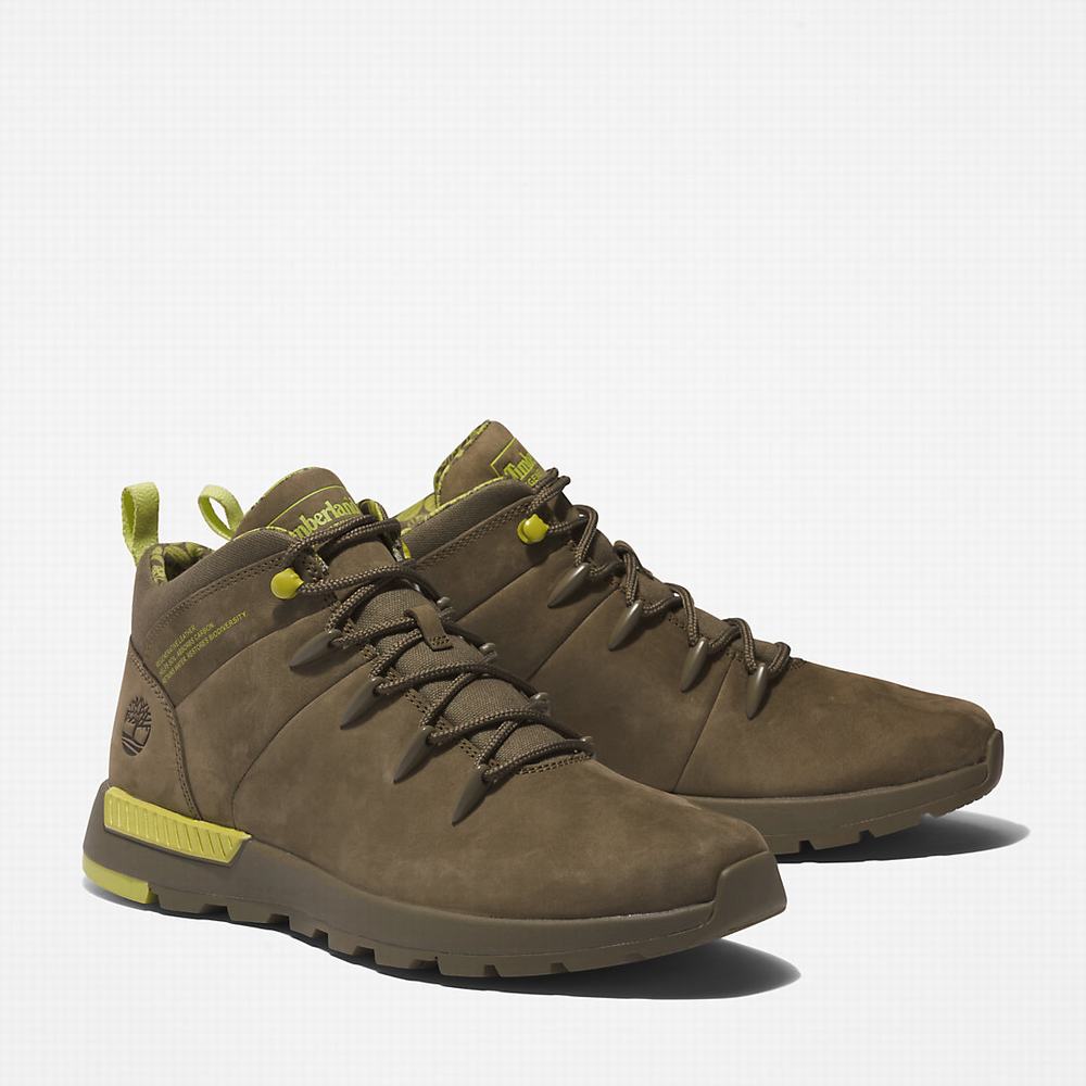 Turisticka Obuv Timberland Sprint Trekker Mid Panske Zelene | AE6781345