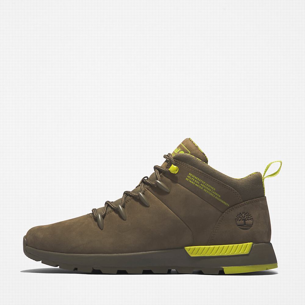 Turisticka Obuv Timberland Sprint Trekker Mid Panske Zelene | AE6781345