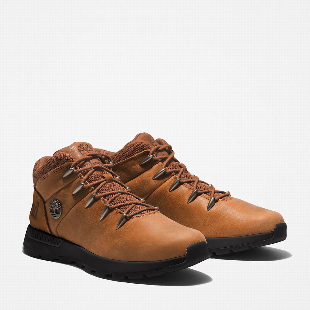 Turisticka Obuv Timberland Sprint Trekker Mid Panske Hnede | KA0769253