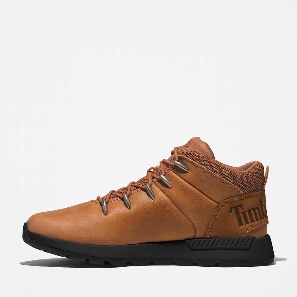 Turisticka Obuv Timberland Sprint Trekker Mid Panske Hnede | KA0769253