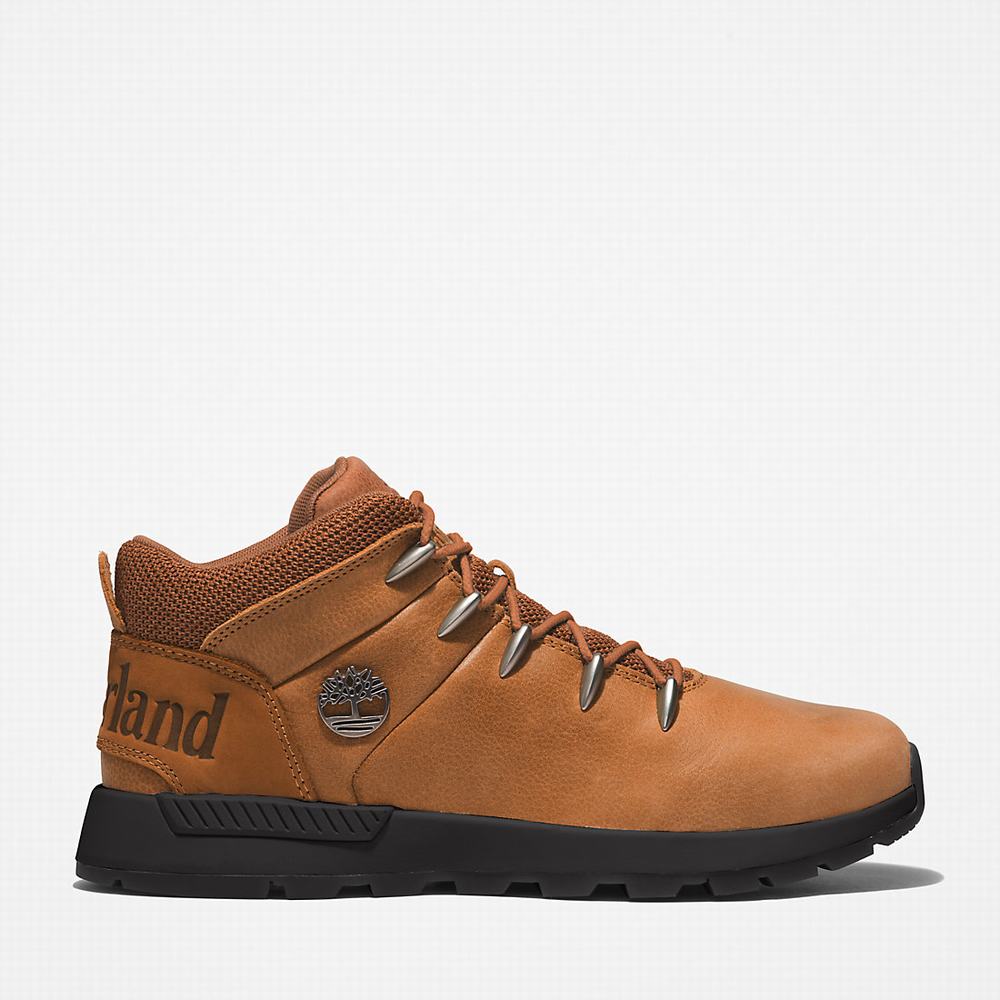 Turisticka Obuv Timberland Sprint Trekker Mid Panske Hnede | KA0769253