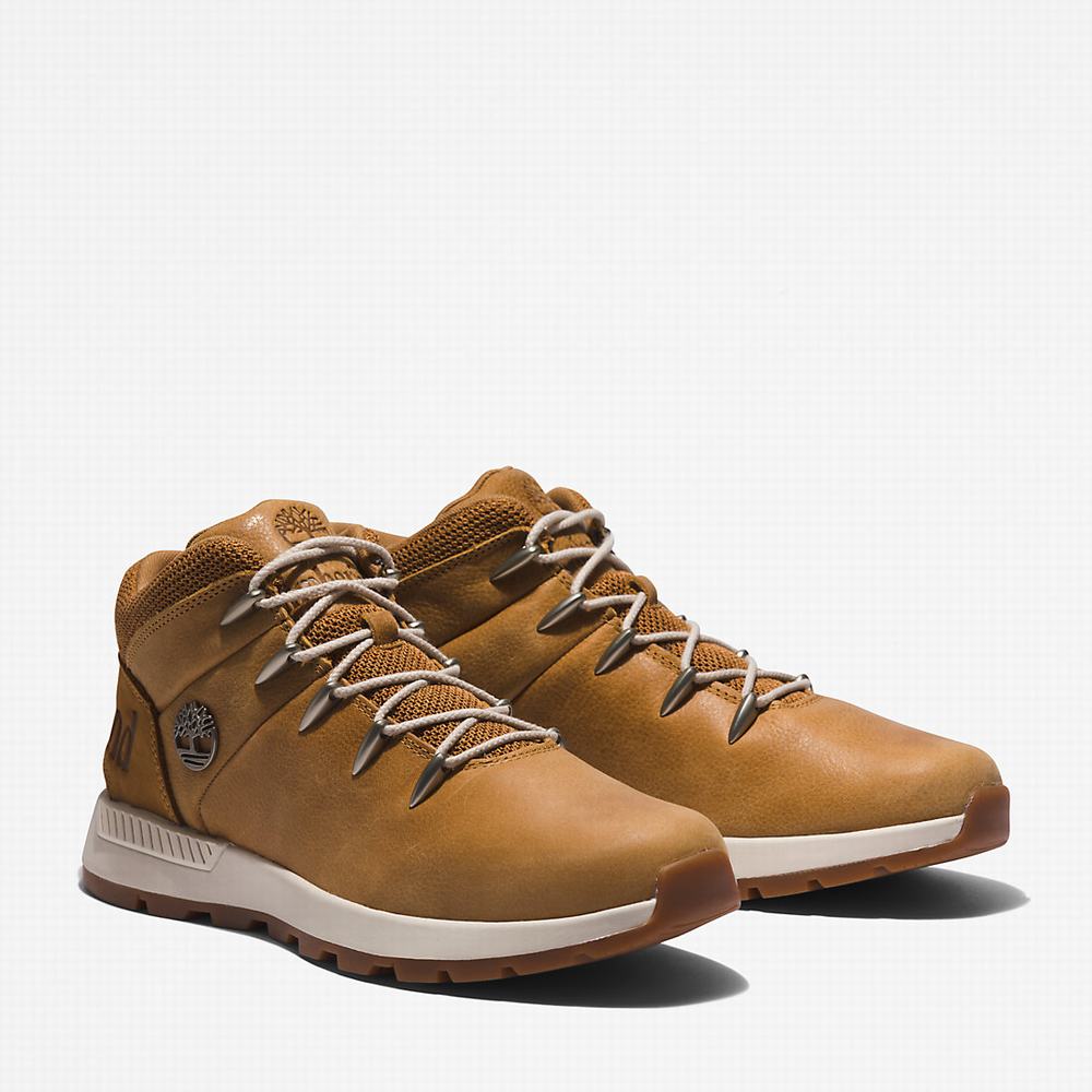 Turisticka Obuv Timberland Sprint Trekker Mid Panske Hnede | KD3984617