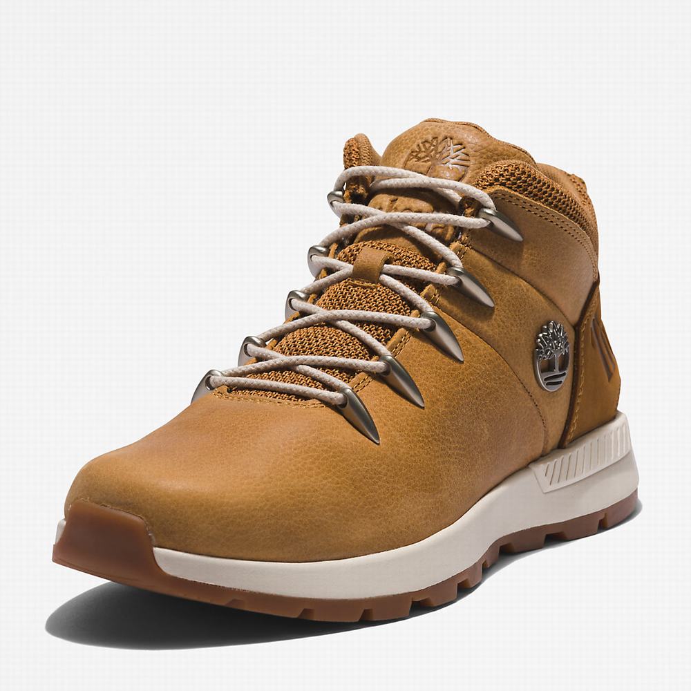 Turisticka Obuv Timberland Sprint Trekker Mid Panske Hnede | KD3984617