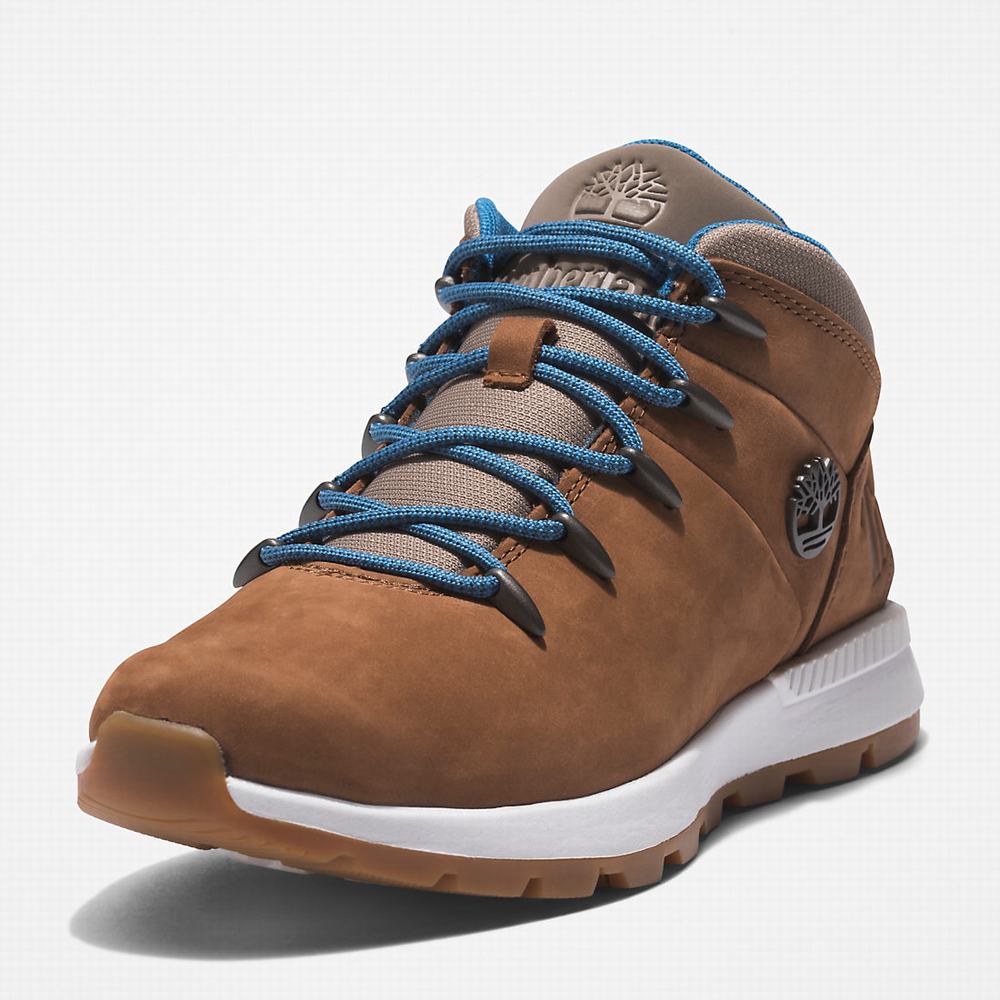 Turisticka Obuv Timberland Sprint Trekker Mid Damske Svetlo Hnede | LI1493082