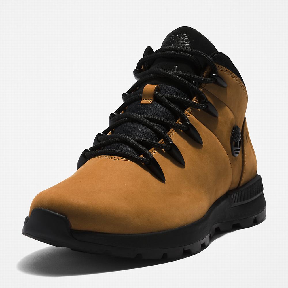 Turisticka Obuv Timberland Sprint Trekker Mid Panske Žlté Čierne | MP7901628