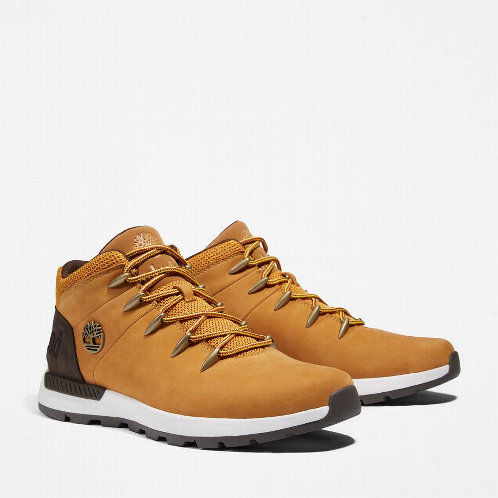 Turisticka Obuv Timberland Sprint Trekker Mid Panske Žlté | PR8750369