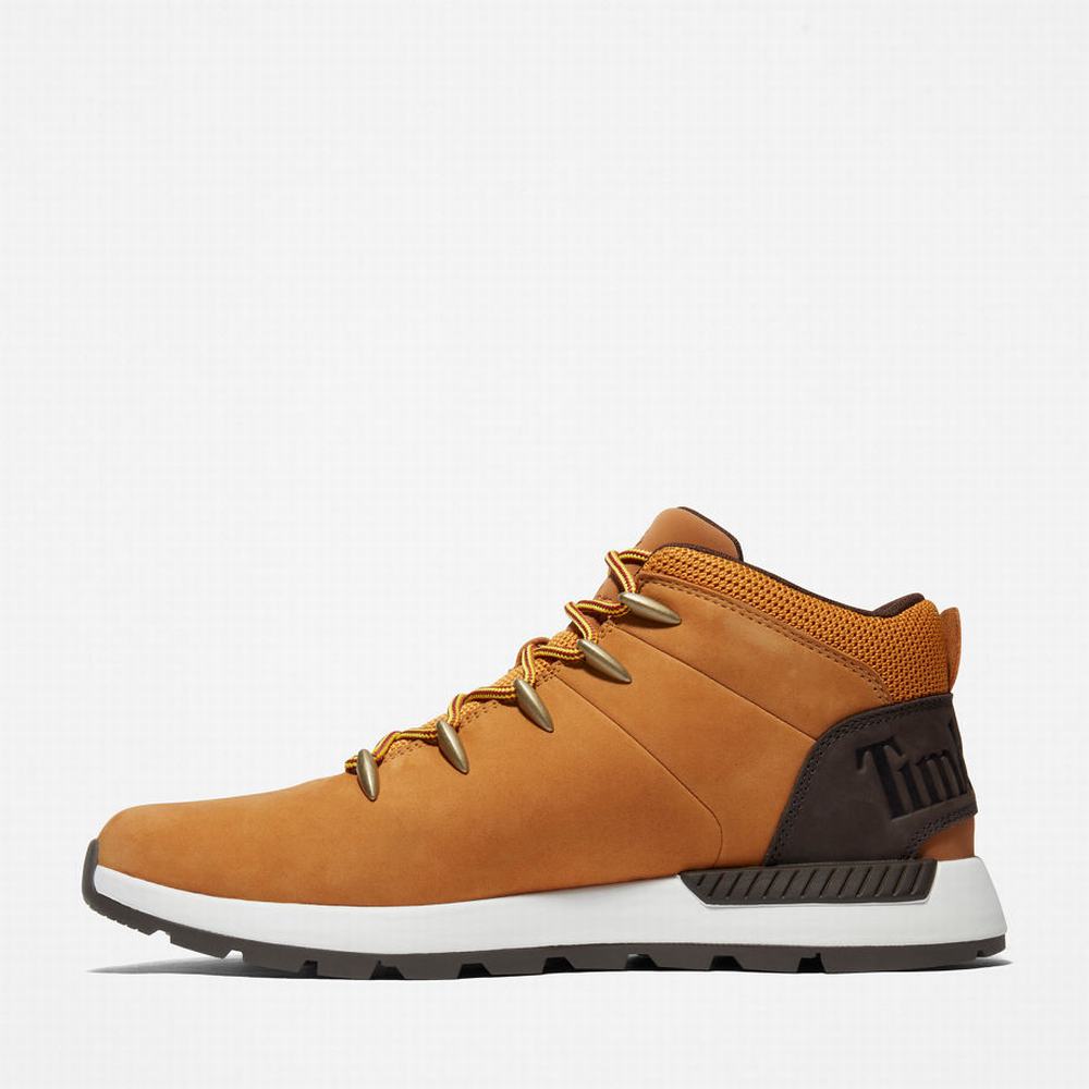 Turisticka Obuv Timberland Sprint Trekker Mid Panske Žlté | PR8750369