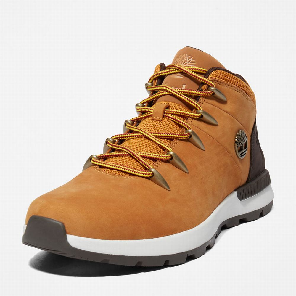 Turisticka Obuv Timberland Sprint Trekker Mid Panske Žlté | PR8750369