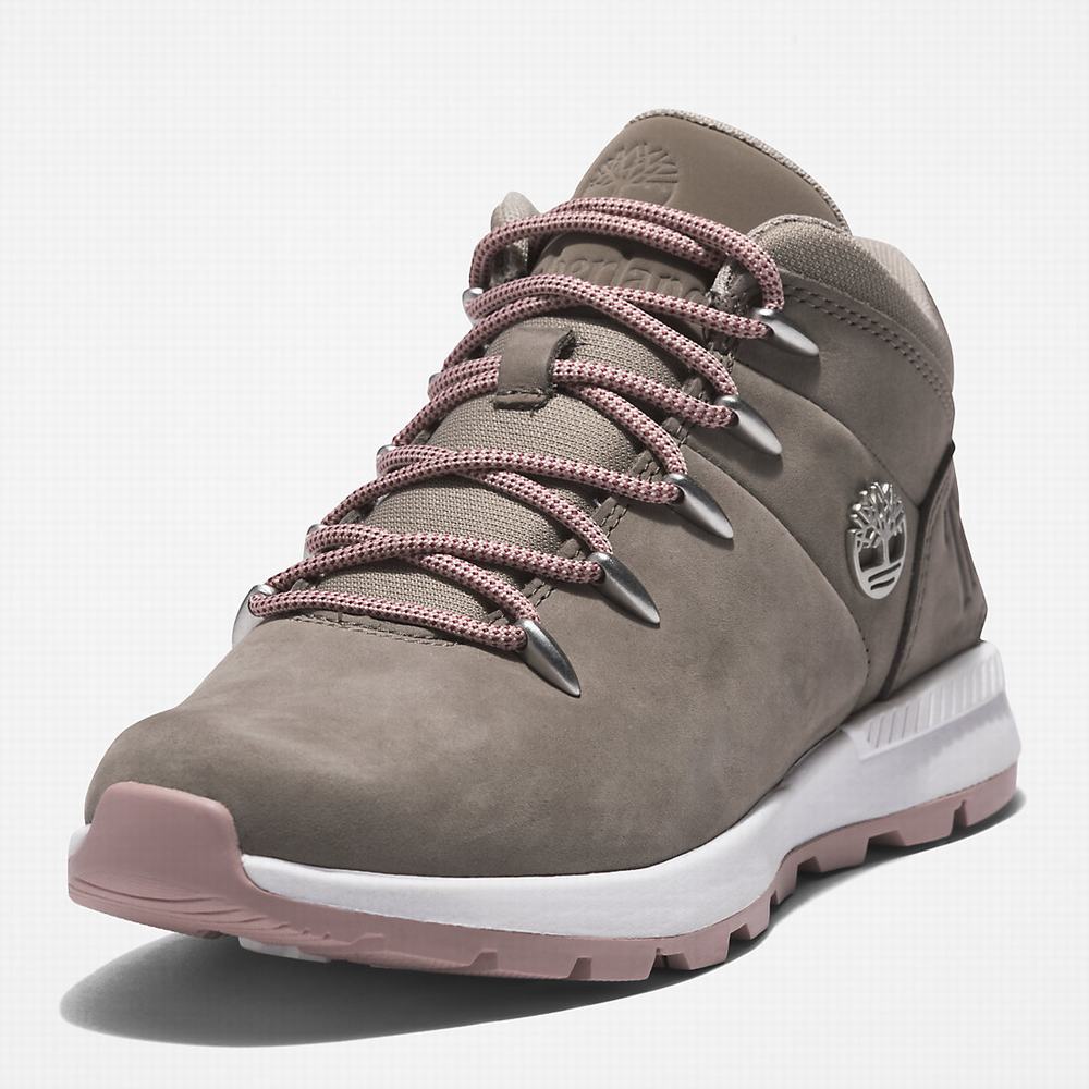 Turisticka Obuv Timberland Sprint Trekker Mid Damske Siva | RQ1705346