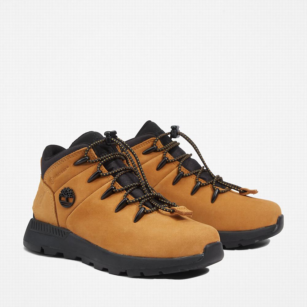 Turisticka Obuv Timberland Sprint Trekker Mid Detske Žlté | RV3749860