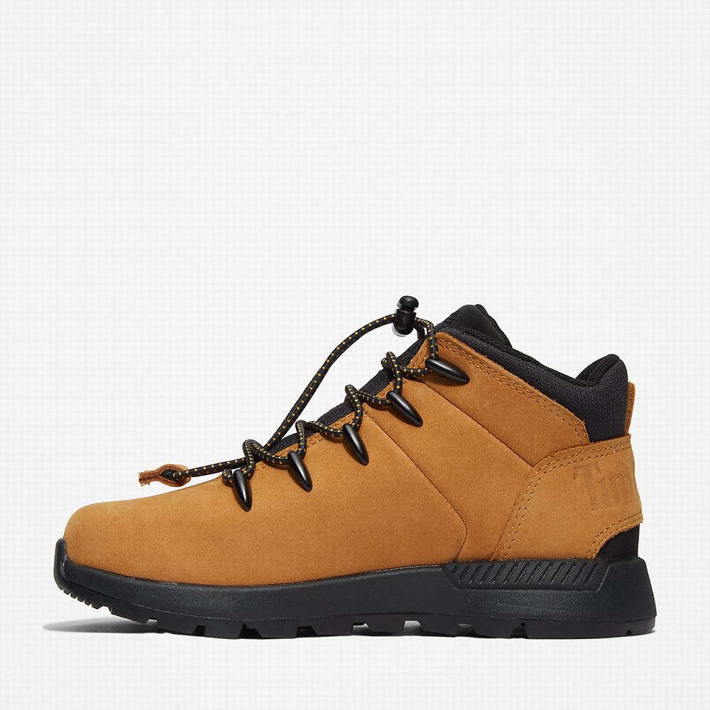 Turisticka Obuv Timberland Sprint Trekker Mid Detske Žlté | RV3749860