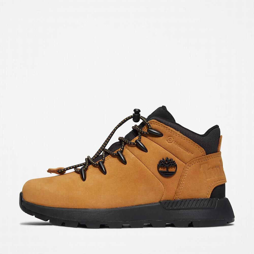 Turisticka Obuv Timberland Sprint Trekker Mid Detske Žlté | RV3749860