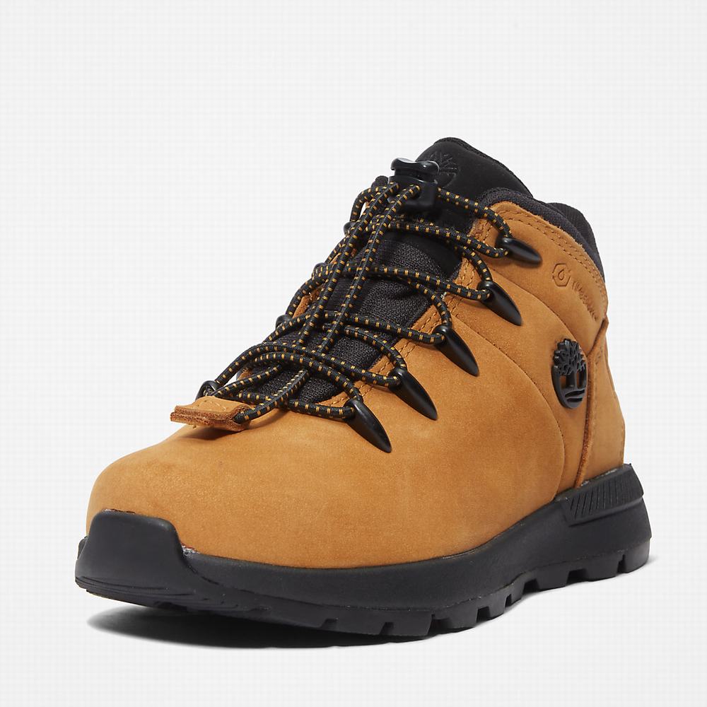 Turisticka Obuv Timberland Sprint Trekker Mid Detske Žlté | RV3749860