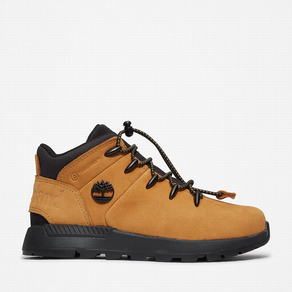 Turisticka Obuv Timberland Sprint Trekker Mid Detske Žlté | RV3749860