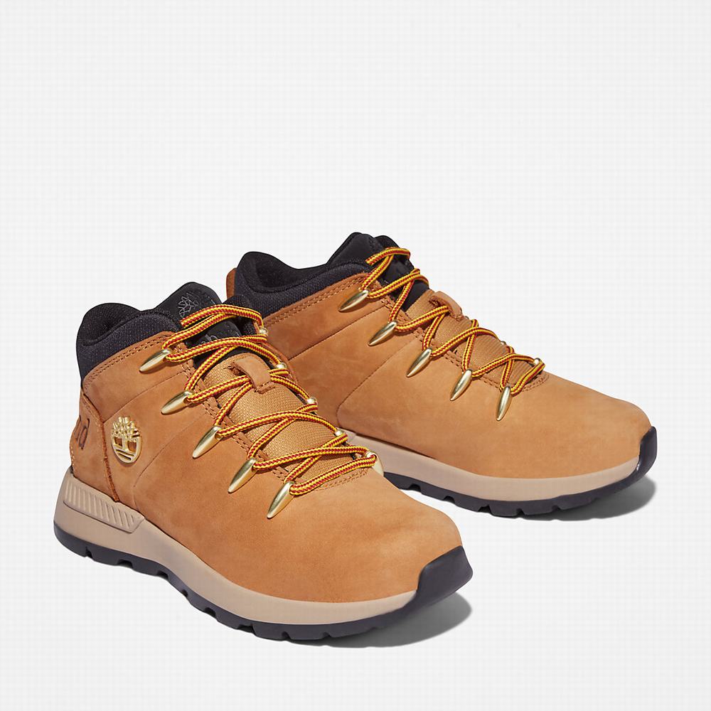 Turisticka Obuv Timberland Sprint Trekker Mid Detske Žlté | UY5683120