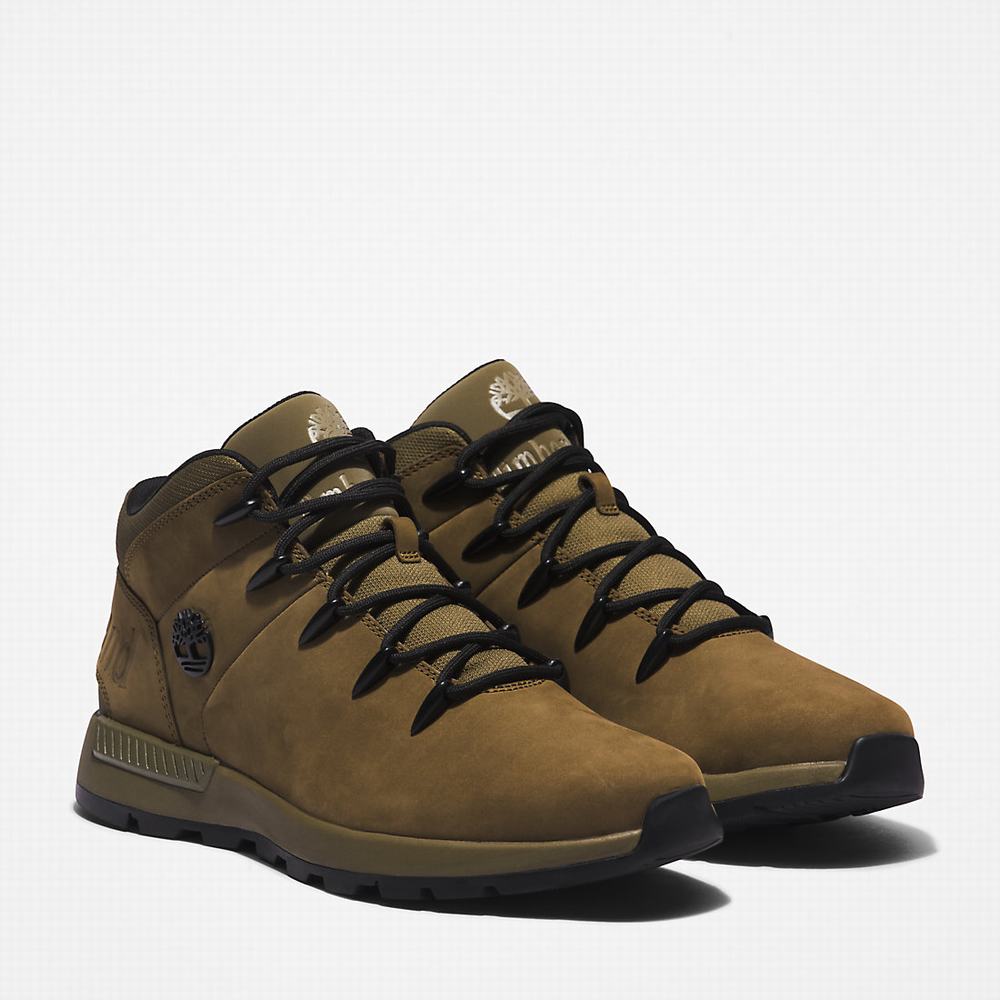 Turisticka Obuv Timberland Sprint Trekker Mid Panske Zelene | YR7058612