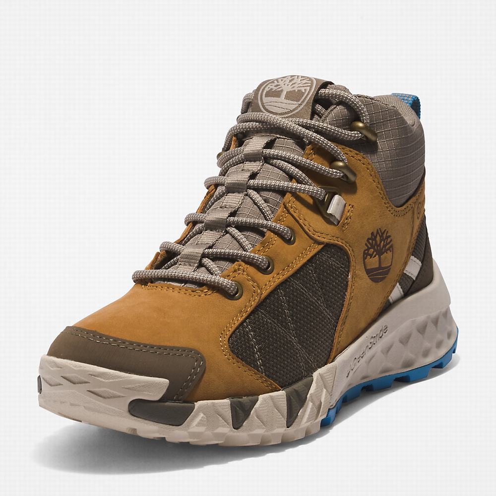 Turisticka Obuv Timberland Trailquest Hiker Damske Hnede | FA2701965