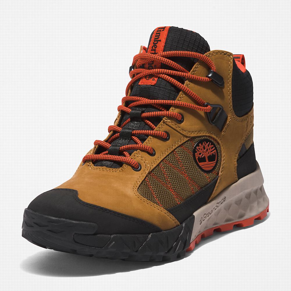 Turisticka Obuv Timberland Trailquest Waterproof Panske Hnede | PF1392487