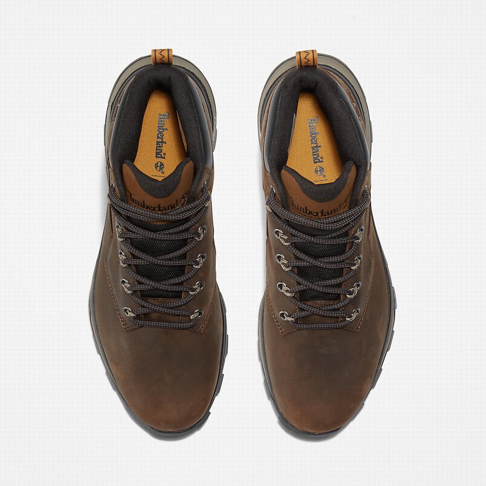 Turisticka Obuv Timberland Treeline Hiker Panske Tmavo Hnede | NI2150684