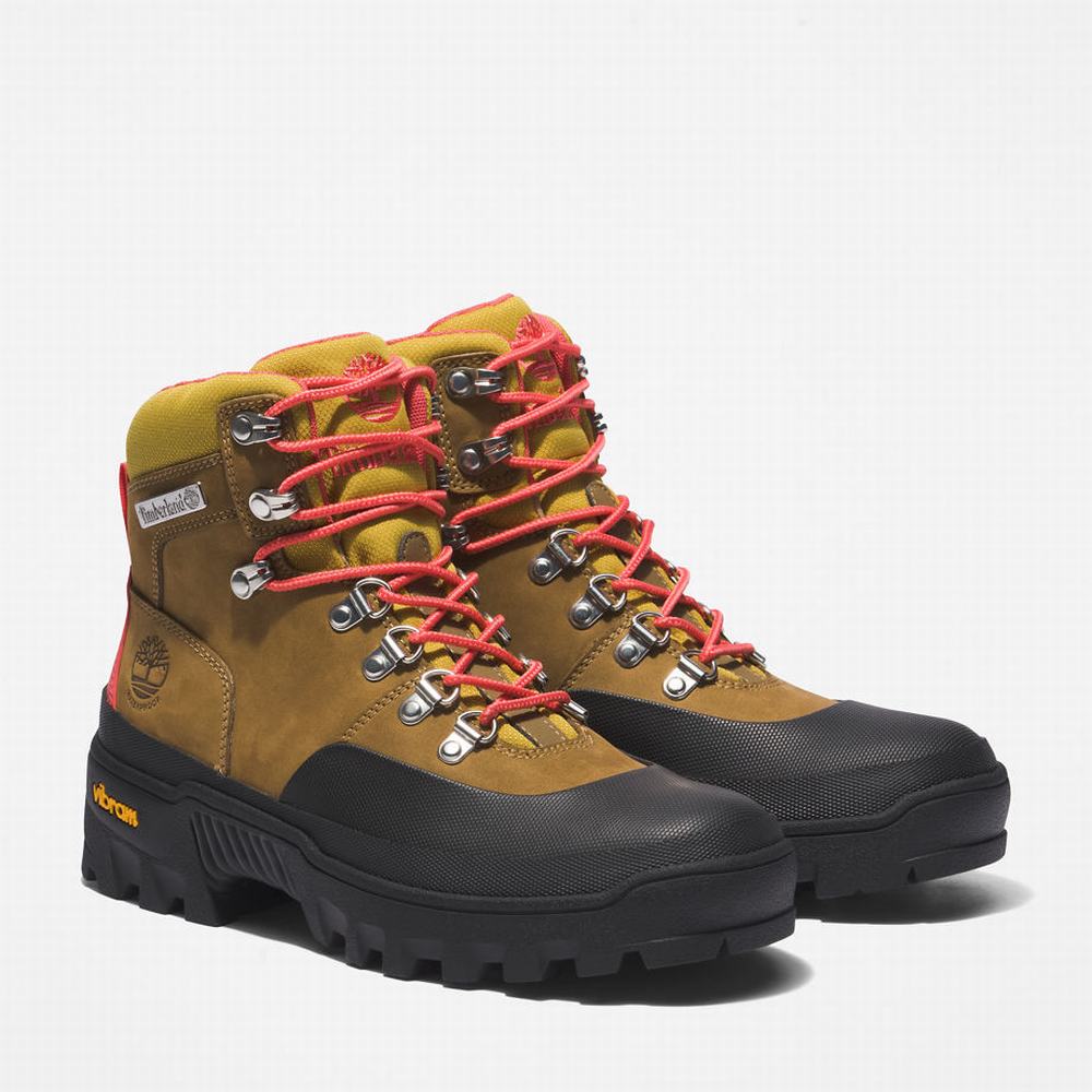 Turisticka Obuv Timberland Vibram® Waterproof Damske Svetlo Hnede | BV2148795