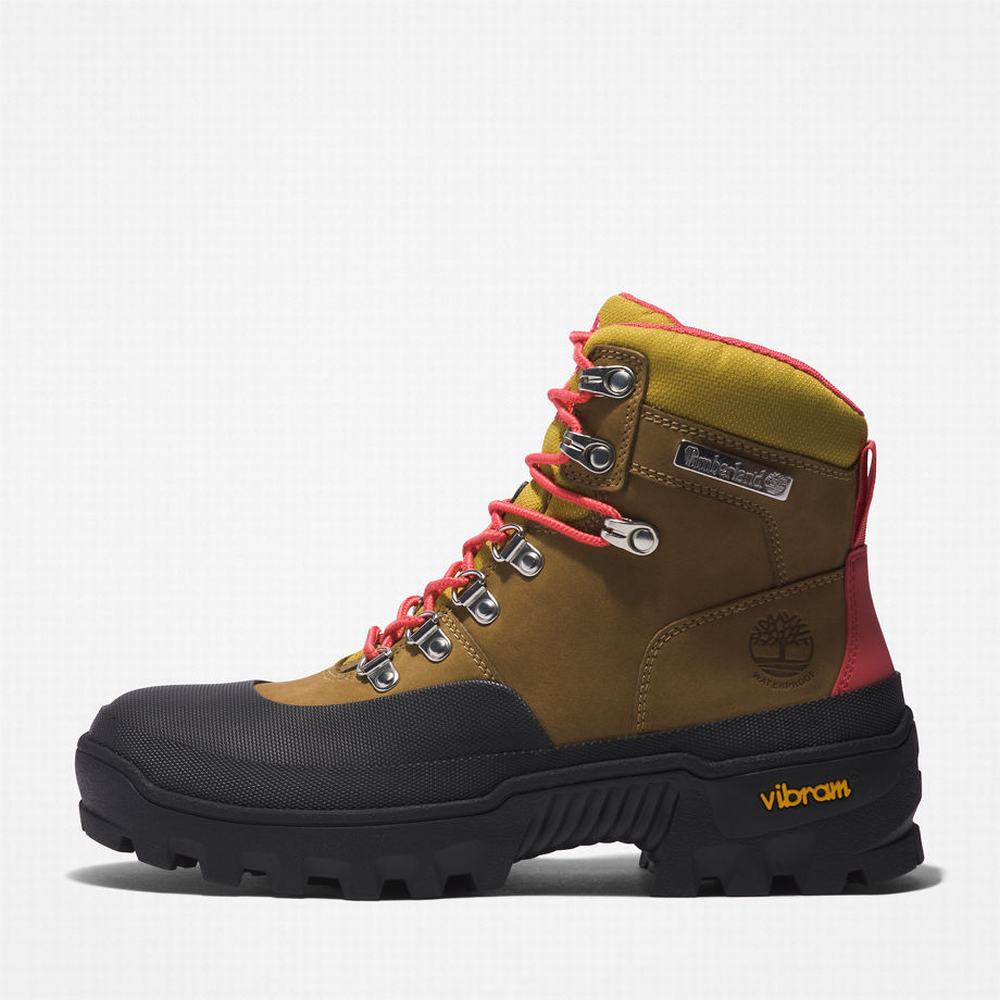 Turisticka Obuv Timberland Vibram® Waterproof Damske Svetlo Hnede | BV2148795