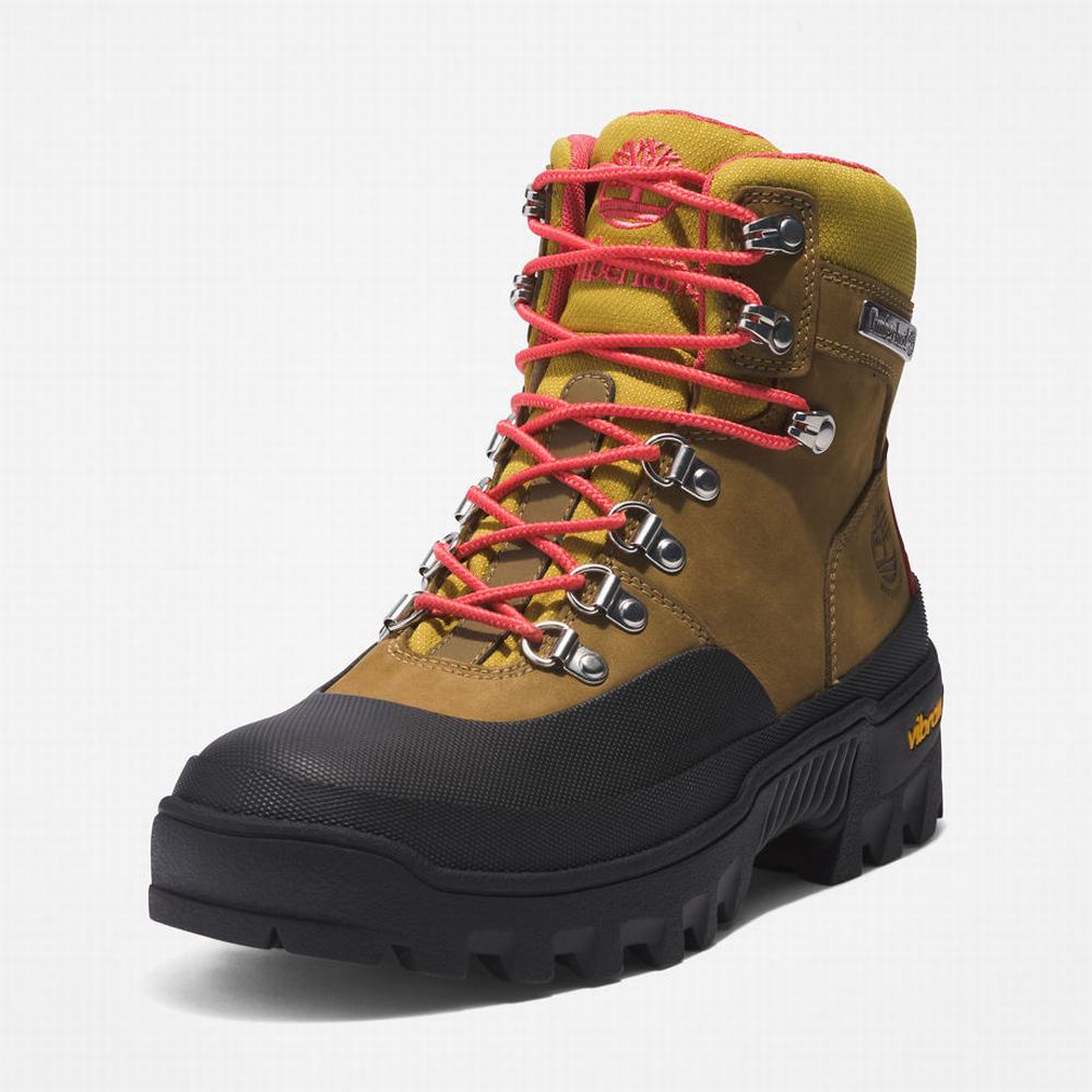 Turisticka Obuv Timberland Vibram® Waterproof Damske Svetlo Hnede | BV2148795