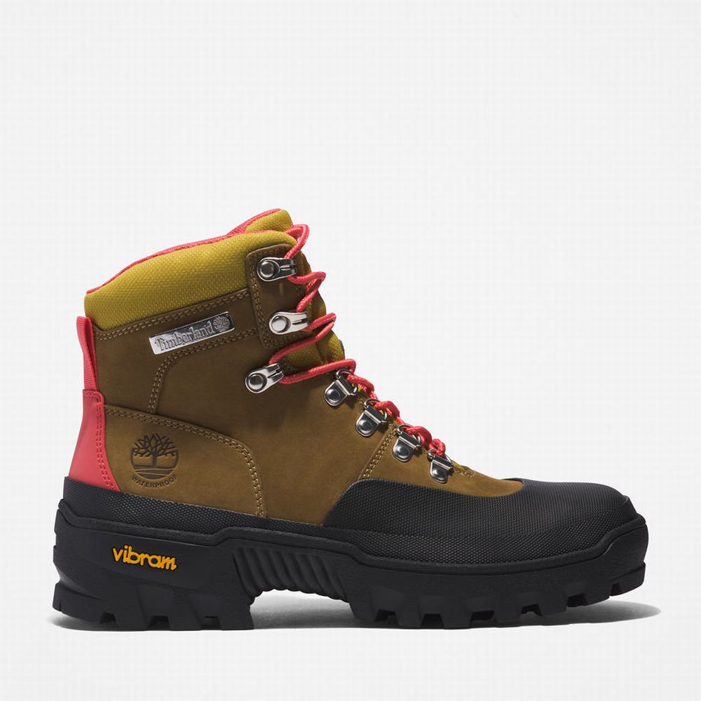 Turisticka Obuv Timberland Vibram® Waterproof Damske Svetlo Hnede | BV2148795