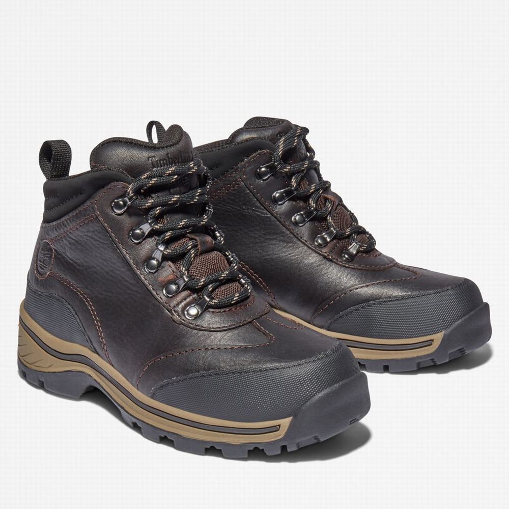 Turisticka Obuv Timberland Waterproof Detske Hnede | EA9205413