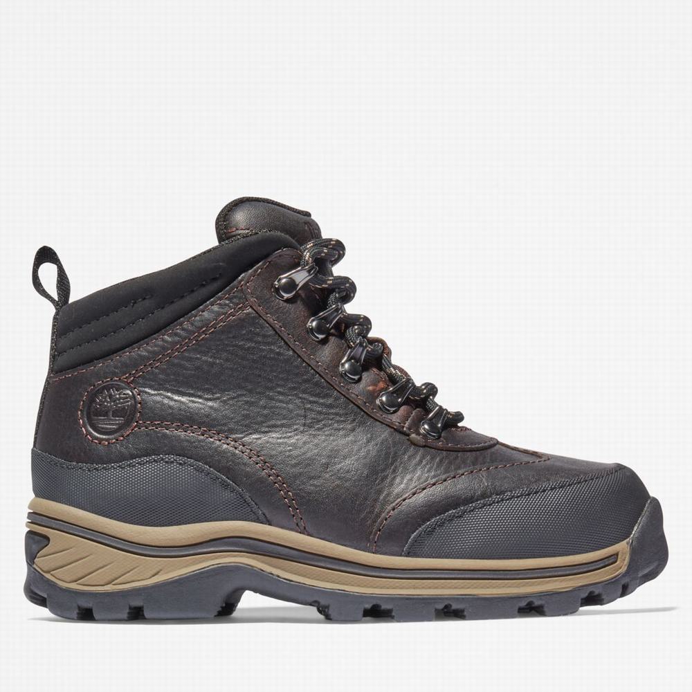 Turisticka Obuv Timberland Waterproof Detske Hnede | EA9205413