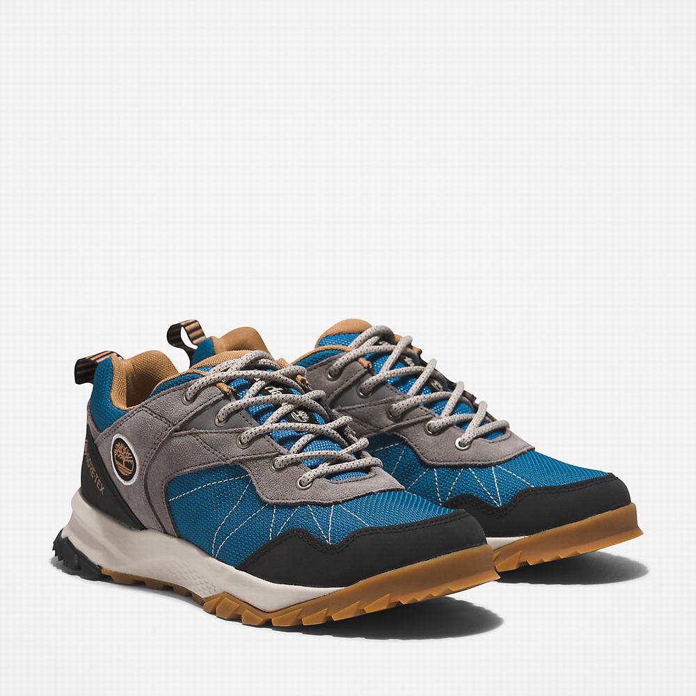 Turisticke Topanky Timberland Lincoln Peak Gore-Tex® Low Hiker Damske Siva | NF7910846