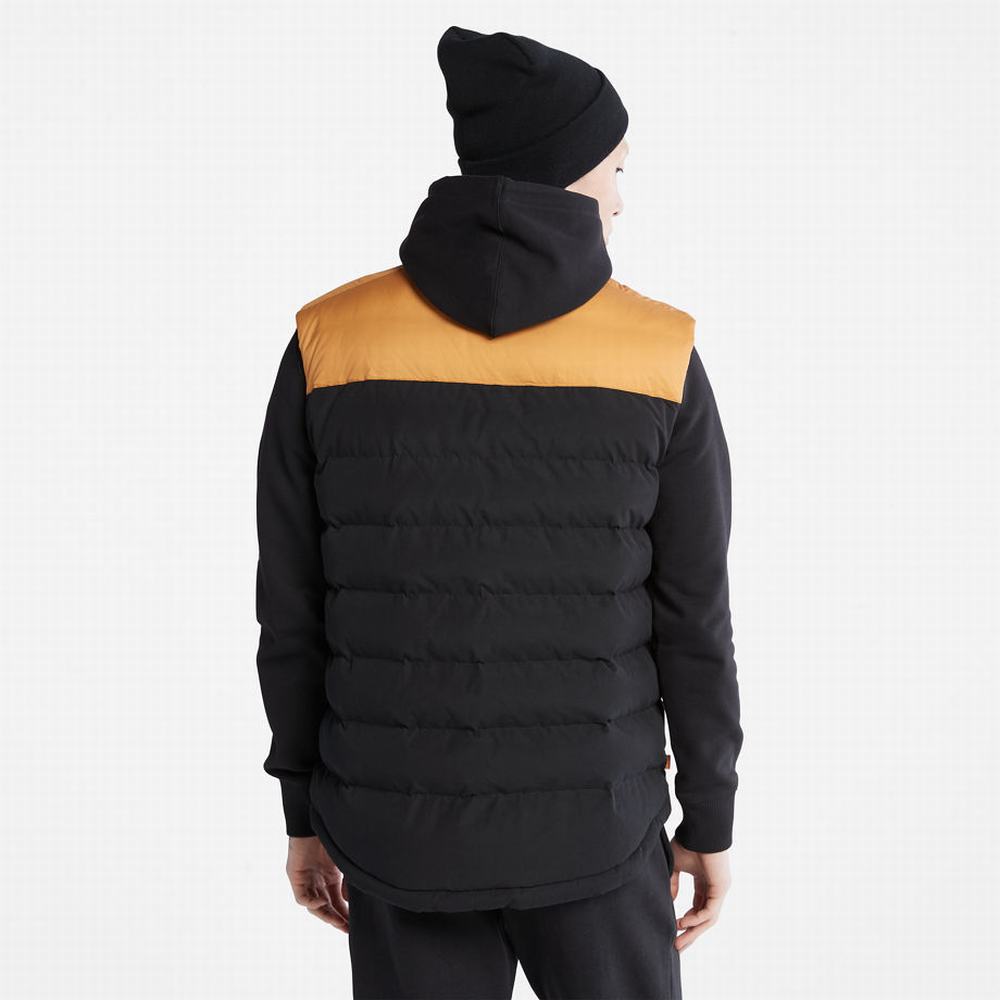 Vesty Timberland South Twin Panske Žlté | FU8016437