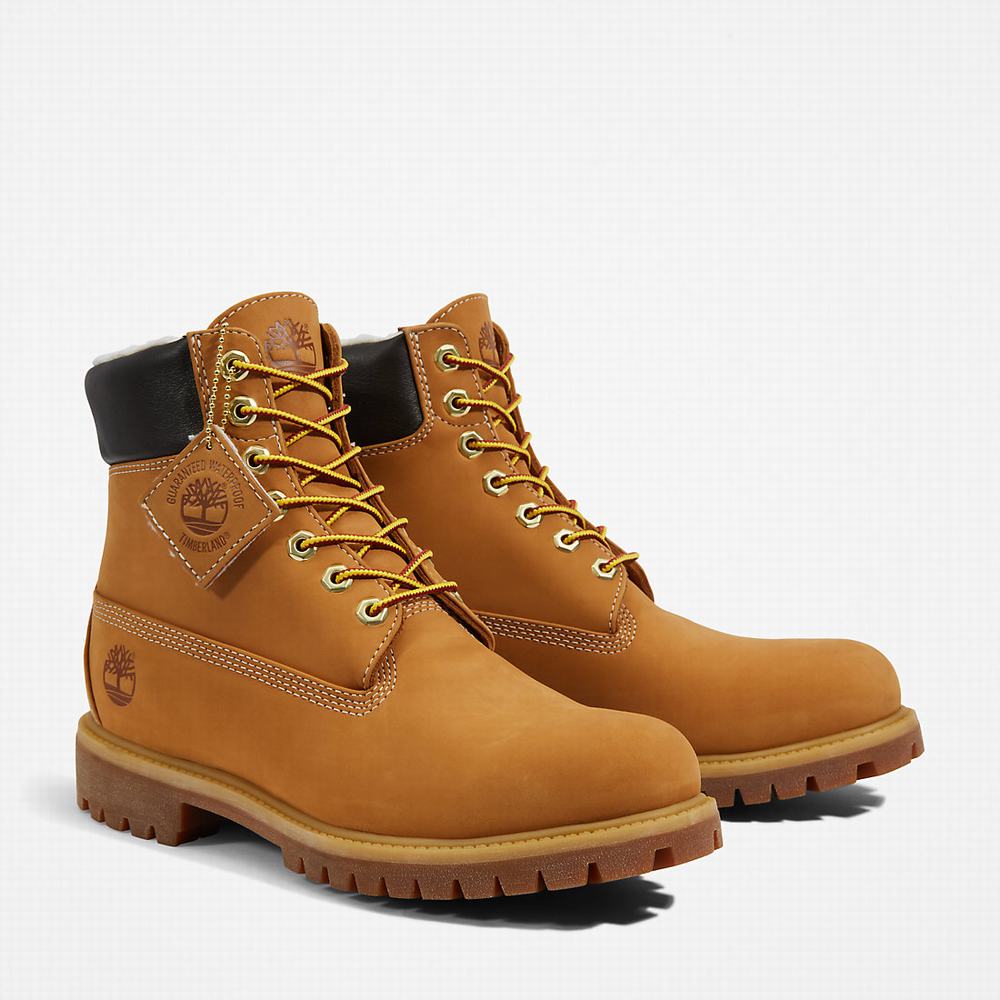 Zimne Topanky Timberland Premium Warm-lined 6 Inch Panske Žlté | ID8356109