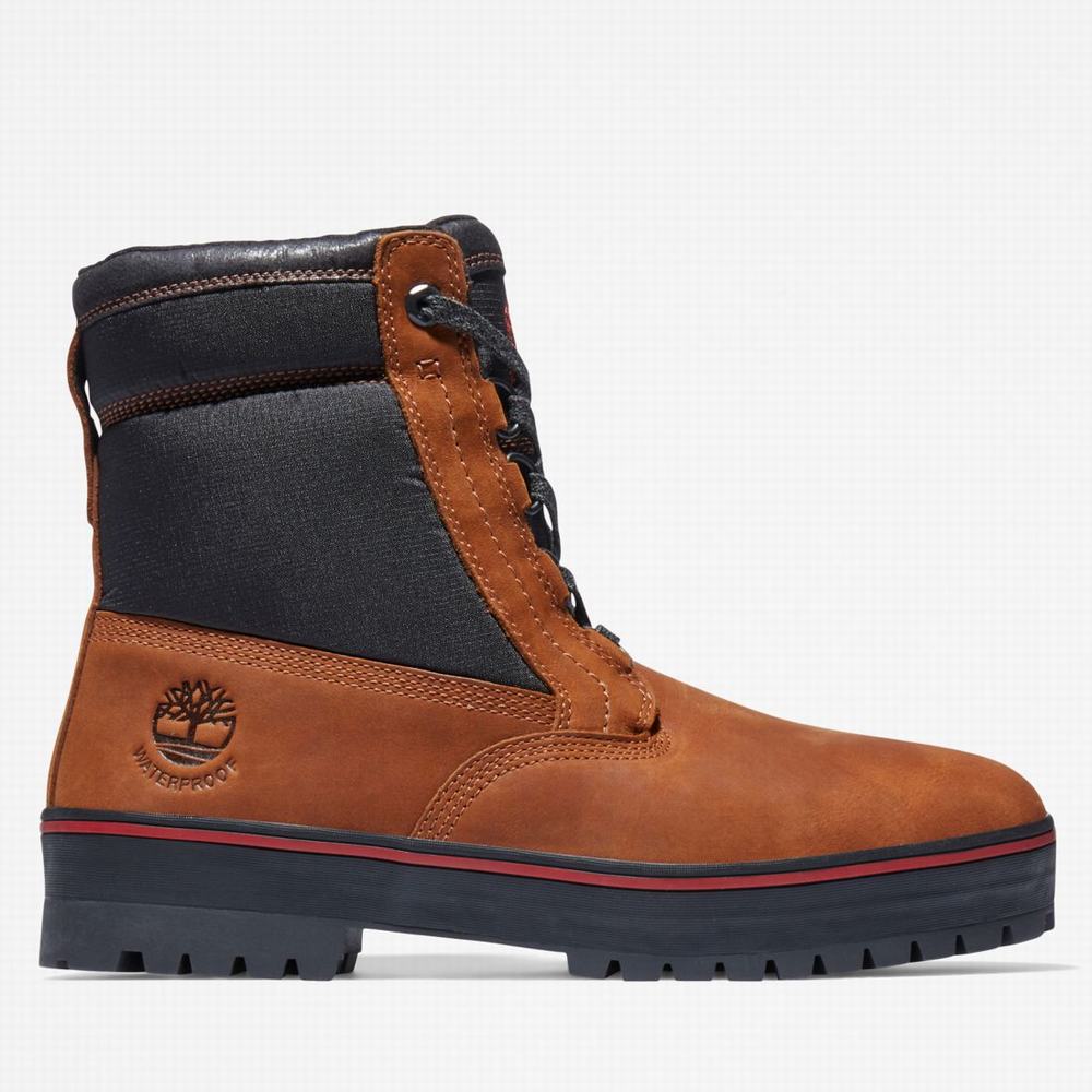 Zimne Topanky Timberland Spruce Mountain Waterproof Warm-Podsite Panske Tmavo Hnede Čierne | PG0592673