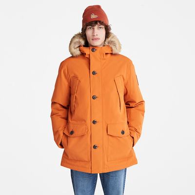 Bundy Parka Timberland Scar Ridge DryVent™ Panske Oranžové | GI5401963