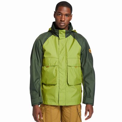 Bundy Timberland Field Trip Outdoor Panske Zelene | CT0579436