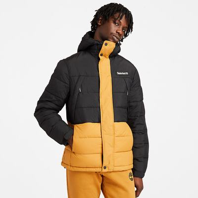 Bundy Timberland Outdoor Archive Puffer Panske Žlté | ZA5790132