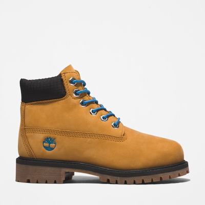 Cizmy Timberland Premium 6-Inch Waterproof Detske Hnede Modre | LD5427910