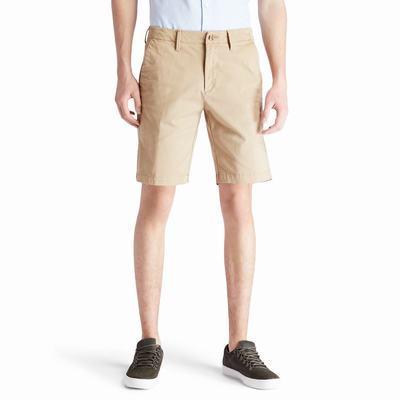 Sortky Timberland Squam Lake Chino Panske Hnedožltý | GF2459168