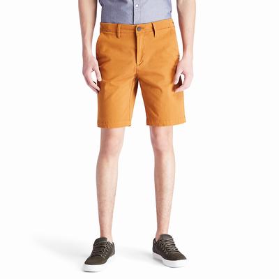 Sortky Timberland Squam Lake Chino Panske Žlté | VE0916234