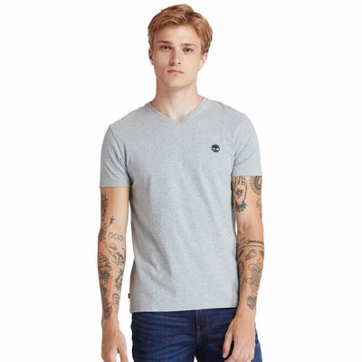 Tricko Timberland Dunstan River V-Neck T-Shirt Panske Siva | FD6031798