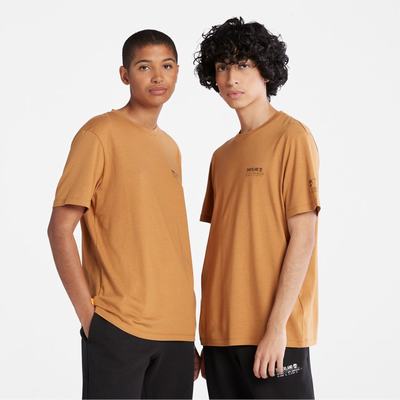 Tricko Timberland Luxe Pohodlie T-Shirt Damske Hnede | AN3691827