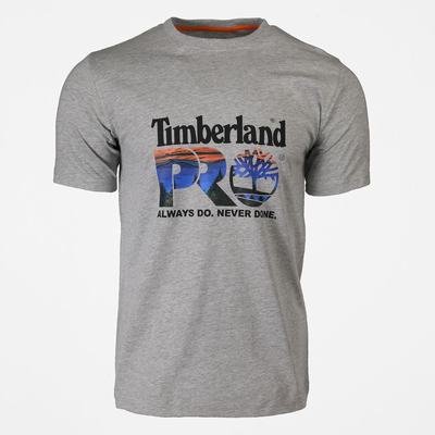 Tricko Timberland PRO® Bavlnene Core Logo T-Shirt Panske Svetlo Siva Viacfarebný | UC5342098