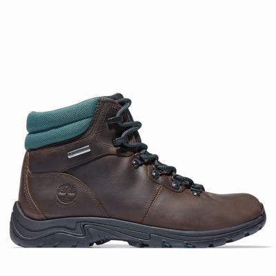 Turisticka Obuv Timberland Mount Maddsen Hiker Damske Tmavo Hnede | NS1685240