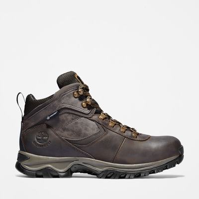 Turisticka Obuv Timberland Mt. Maddsen Waterproof Panske Tmavo Hnede | QN9837604